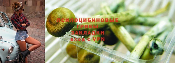 ПСИЛОЦИБИНОВЫЕ ГРИБЫ Арсеньев