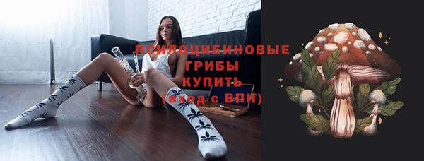 ПСИЛОЦИБИНОВЫЕ ГРИБЫ Арсеньев