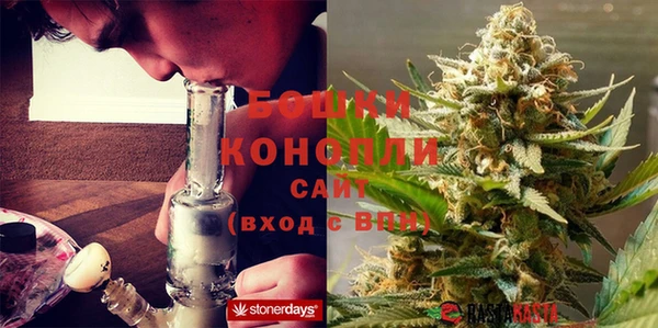 дживик Новозыбков