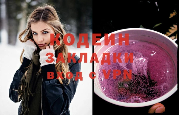 ПСИЛОЦИБИНОВЫЕ ГРИБЫ Арсеньев