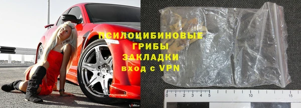 дживик Новозыбков